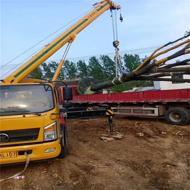 九湖镇100吨吊车租赁费用怎么算？3大关键因素+省钱技巧全解析